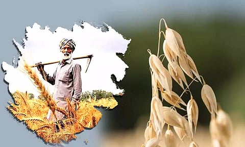 கோப்பு படம்.