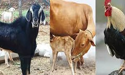 புளியம்பட்டி வார சந்தையில் ரூ.75 லட்சத்துக்கு கால்நடைகள்  விற்பனை
