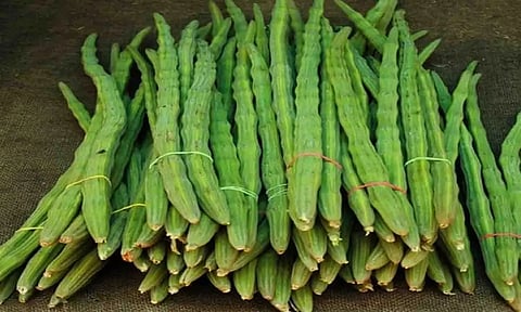கோப்புபடம்