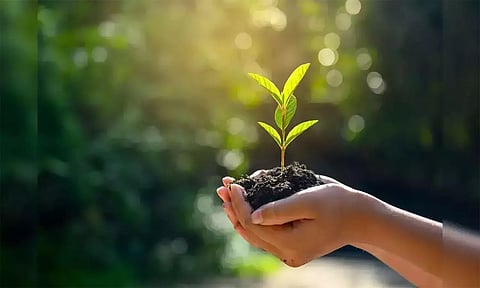 'தமிழ் மண் வளம்' இணையதளம் விவசாயிகள் அறிந்து கொள்ள வேண்டும்