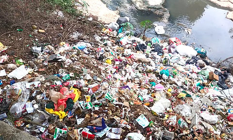 கோவையில் குப்பைகளாக காட்சியளிக்கும் நீர்நிலைகள்- நோய் பரவும் அபாயம்