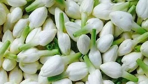 குண்டுமல்லி கிலோ ரூ.400-க்கு விற்பனை