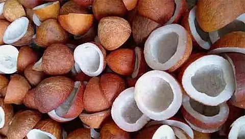 ரூ. 6 லட்சத்து 20 ஆயிரத்திற்கு கொப்பரை விற்பனை