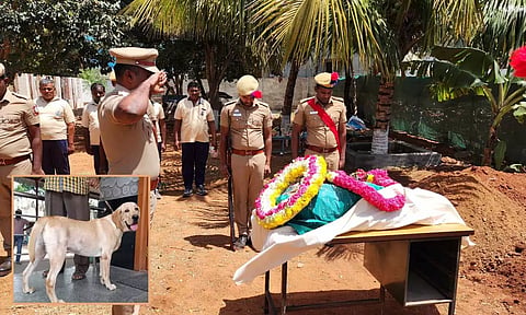 வெடிகுண்டு கண்டுபிடிக்கும் பிரிவில் பணியாற்றி உயிரிழப்பு: போலீஸ் மரியாதையுடன் மோப்பநாய் உடல் அடக்கம்