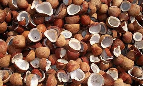 ரூ.1.65 கோடிக்கு கொப்பரை ஏலம்