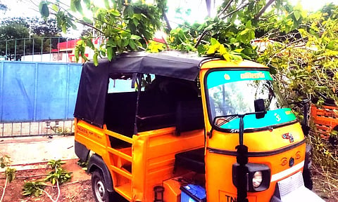 ஆட்டோ மீது மரம் விழுந்து கிடப்பதை படத்தில் காணலாம்.