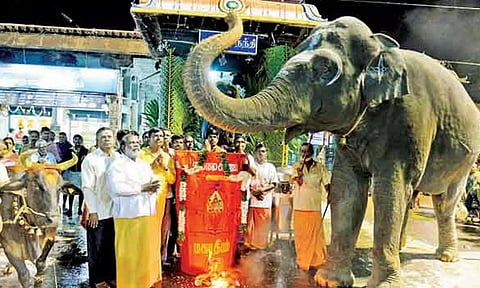 மகா தீப கொப்பரைக்கு ஆசி வழங்கிய யானை ருக்கு (பழைய படம்).