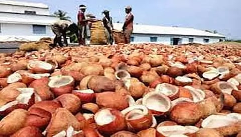 கொங்கணாபுரம் ஒழுங்குமுறை விற்பனை கூடத்தில்ரூ.7லட்சத்திற்கு தேங்காய் பருப்பு ஏலம்