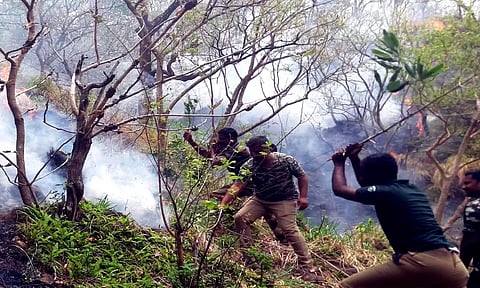 சிவகிரி  மலை பகுதியில் பற்றிய தீ கட்டுக்குள் வந்தது