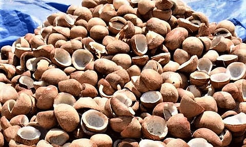 ரூ.1.37 கோடிக்கு கொப்பரை ஏலம்