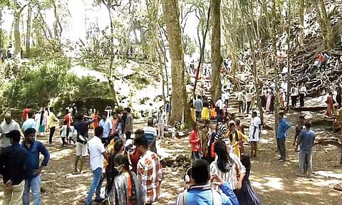 கோப்பு படம்.