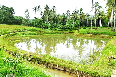 விவசாயிகளின் வரப்பிரசாதமாக அமைந்த பண்ணை குட்டை