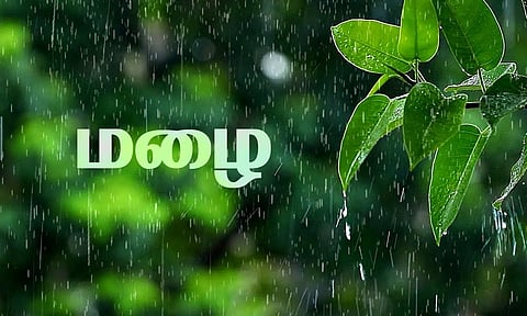 தென்காசி மாவட்டத்தில் பரவலாக மழை-அடவிநயினார் அணை நீர்மட்டம் மேலும் 1 அடி அதிகரிப்பு