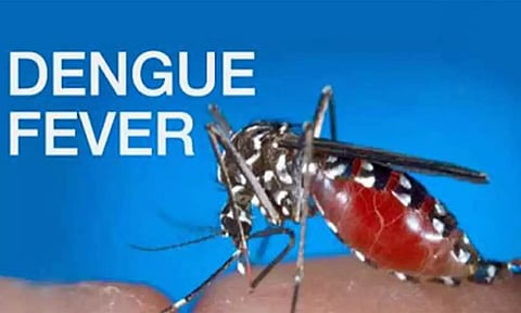 3 மாவட்டங்களில் டெங்கு காய்ச்சல் பாதிப்பு உயர்வு: பரிசோதனையில் தினமும் 30 பேருக்கு பாசிட்டிவ்