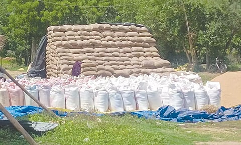 தேங்கி கிடக்கும் நெல்மூட்டைகள்.