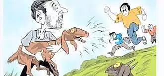 சின்னசேலம் அருகே  ஆடுகள் திருட்டு