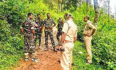 வன விலங்குகள் வேட்டையை தடுக்க வனத்துறையினர் தீவிர சோதனையில் ஈடுபட்ட காட்சி.
