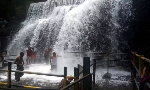 கோப்பு படம்.