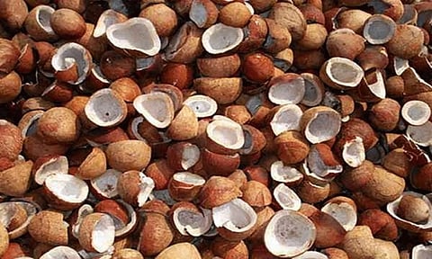 பெருந்துறையில் ரூ.1.45 கோடிக்கு கொப்பரை ஏலம்