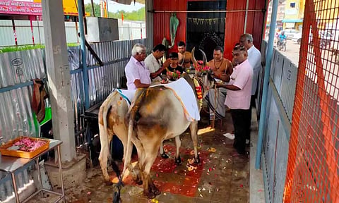 கோ பூஜை நடைபெற்ற காட்சி.