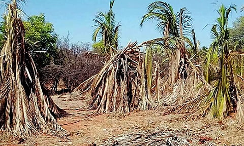 கோப்பு படம்.