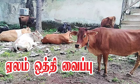 கோப்பு படம்