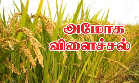 கோப்பு படம்