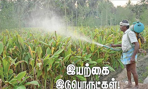 கோப்புபடம்.&nbsp;