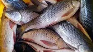 சங்கராபுரம் அருகே  1300 குடும்ப அட்டைகளுக்கு 2½ கிலோ மீன்கள்