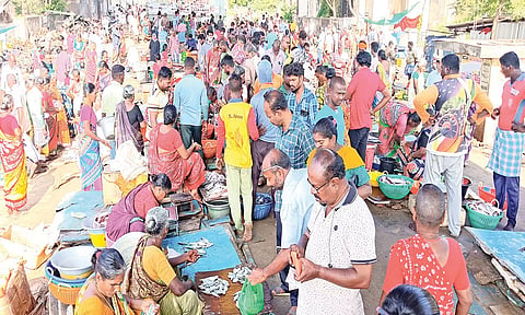 கடலூர் துறைமுகத்தில் மீன்கள் வாங்க குவிந்த பொது மக்களை படத்தில் காணலாம்.