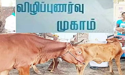 கோப்புபடம்.&nbsp;