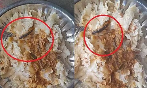 குருமா பார்சலில் இறந்த நிலையில் பூரான்