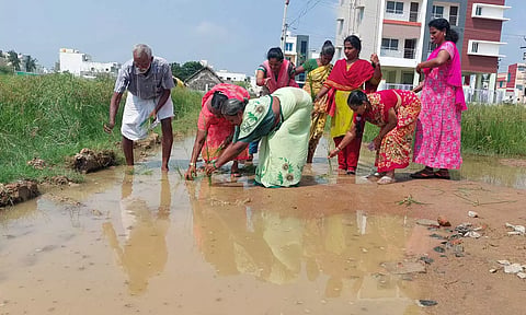 திருவள்ளூரில் வீடுகள் முன்பு தேங்கிய மழைநீரில் நாற்று நட்டு பெண்கள் போராட்டம்