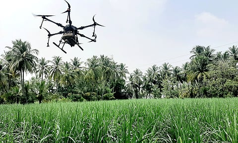 கவுந்தப்பாடி பகுதியில் டிரோன் மூலம் கரும்பு பயிருக்கு மருந்து தெளிப்பு