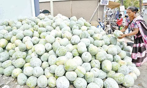 விற்பனைக்காக குவிக்கப்பட்டுள்ள பூசணிக்காய்கள்.&nbsp;