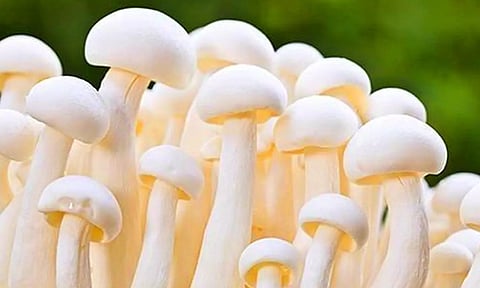 கோப்புபடம்&nbsp;