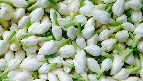 காஞ்சிபுரத்தில் பூக்கள் விலை அதிகரிப்பு