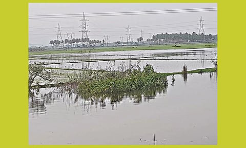 விவசாய நிலத்தில் மழைநீர் தேங்குவதால் விவசாயிகள் அவதி