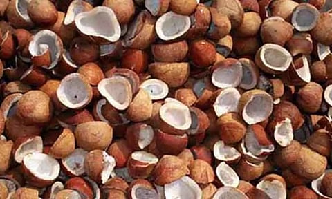 கோப்புபடம்.&nbsp;