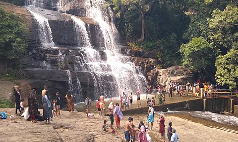 மேகமலை அருவியில் சுற்றுலா பயணிகள் உற்சாகமாக குளித்து மகிழும் காட்சி.