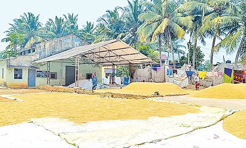 கொள்முதல் நிலையம் முன்பு குவித்து வைக்கப்பட்டுள்ள நெல்மணிகள்.
