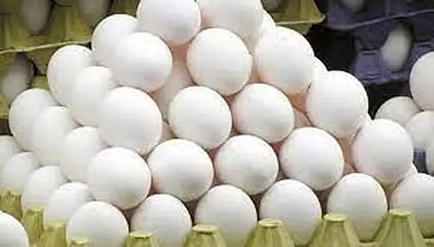 நாமக்கல் மண்டலத்தில் முட்டை விலை 5 காசுகள் உயர்வு