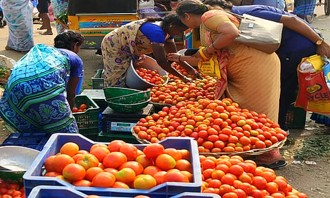 திண்டுக்கல் காந்தி மார்க்கெட்டில் விற்பனைக்கு வந்த தக்காளி.