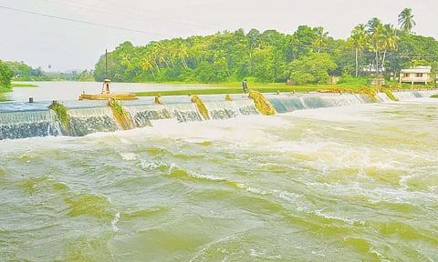 தொடர்மழை எதிரொலியாக பேச்சிப்பாறை-பெருஞ்சாணி அணைகளுக்கு நீர்வரத்து அதிகரிப்பு