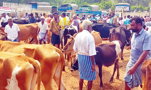 சீனாபுரம் கால்நடை சந்தையில் ரூ.1 கோடிக்கு கால்நடைகள் விற்பனை