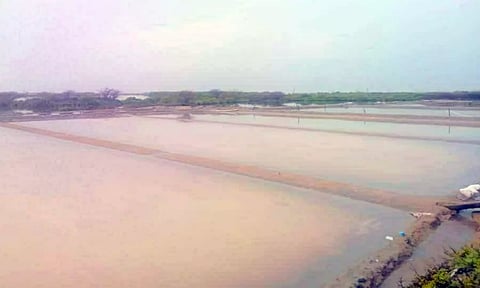 பழைய காயல்-புல்லாவழி பகுதியில் உப்பளங்கள் மழைநீரில் மூழ்கி கிடக்கும் காட்சி.