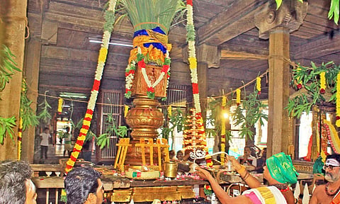 நெல்லையப்பர் கோவிலில் ஐப்பசி திருக்கல்யாண திருவிழா கொடியேற்றம்- திரளான பக்தர்கள் தரிசனம்