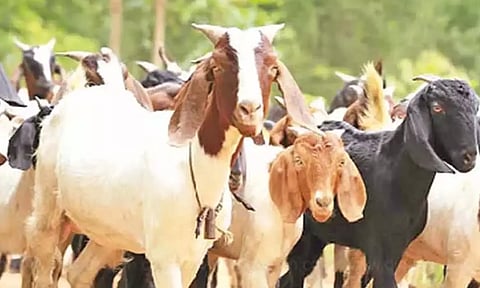 கோப்புபடம்.&nbsp;