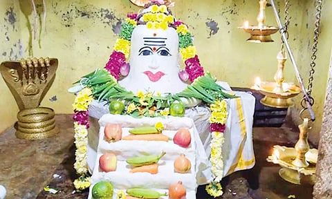 அன்னாபிஷேக அலங்காரத்தில் பக்தர்களுக்கு அருள்பாலித்த வான்மீகநாதர்.
