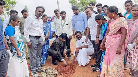 இளங்குடி ஊராட்சியில் 50 ஆயிரம் பனை மர விதைகள் நடும் பணி ஊராட்சி மன்ற தலைவர் நேசம் ஜோசப் தலைமையில் நடைபெற்ற காட்சி.